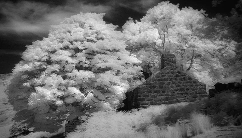 Infrared landscape photograph of a stone cottage surrounded by luminous trees against a dark sky.