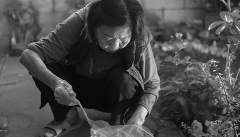 Person carefully examining plants in a greenhouse, captured in black and white photography.