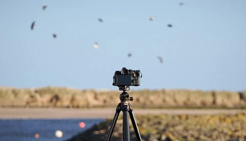 Camera mounted on tripod pointed at sky with birds in flight and landscape below.