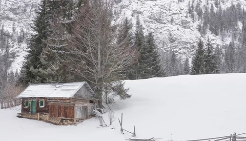 Wooden cabin nestled in deep snow beneath a bare tree, surrounded by evergreen forest on snowy hillsides.