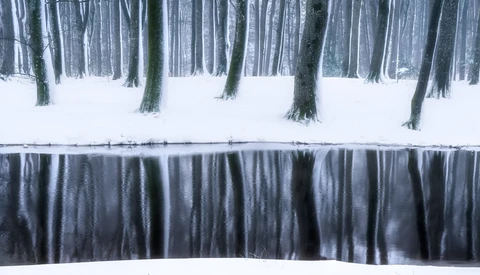 Snow-covered forest with tall evergreen trees reflected in still water below.