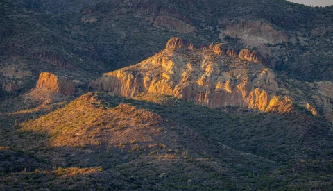 Golden-lit rocky mountain ridges with forested slopes during golden hour sunset.