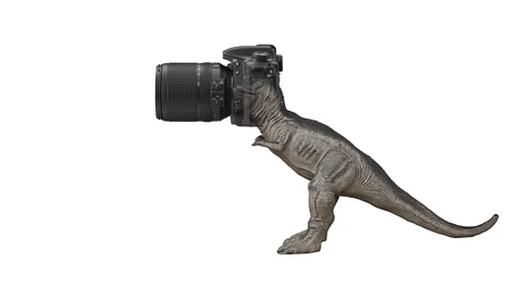 Illustration of a dinosaur holding a camera with a telephoto lens.