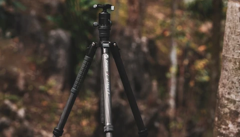 Carbon fiber tripod with ball head against blurred forest background.