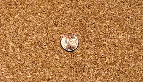 A penny placed on a cork surface for scale reference.