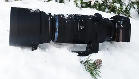 Telephoto lens and camera body laid horizontally in fresh snow with evergreen branches nearby.
