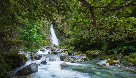 Waterfall cascading into a turquoise stream surrounded by lush green forest and moss-covered rocks.