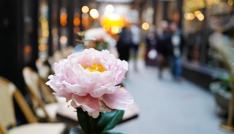 Pink peony with yellow center in sharp focus against blurred urban street scene with pedestrians and storefronts.