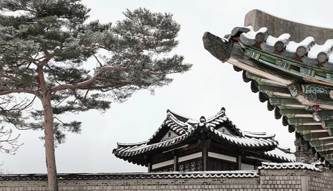 Traditional East Asian temple architecture with ornate curved roofs and white ceramic finials beside a tall pine tree.