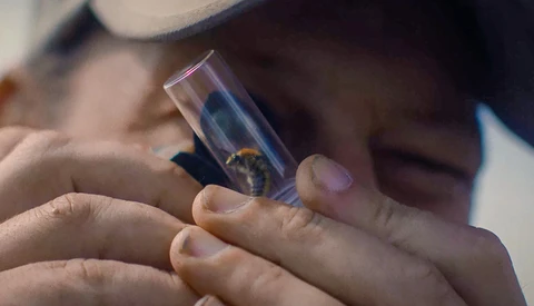 Close-up of hands holding a clear acrylic specimen box containing an insect specimen.