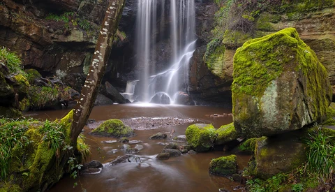 Cascading waterfall flows into a moss-covered forest pool surrounded by verdant rocks and vegetation.