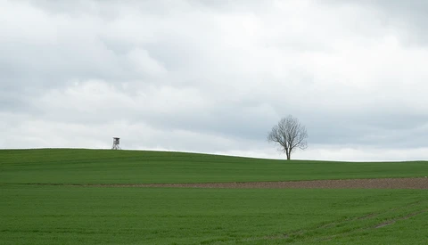 Minimalist landscape with a solitary bare tree and distant structure on a green hillside under overcast sky.