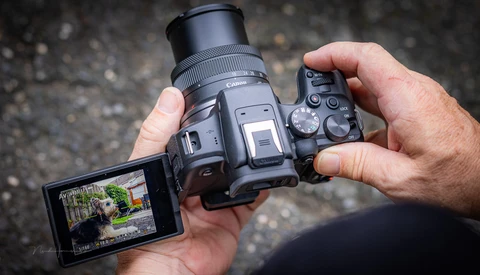 Photographer's hands holding a mirrorless camera with articulating screen displaying a garden scene.