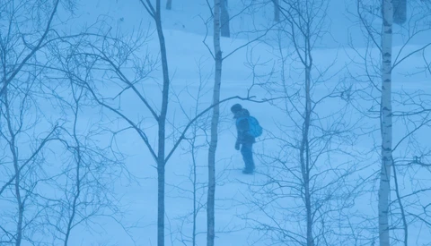 Silhouetted figure standing among bare birch trees in heavy fog or mist.