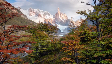 Snow-capped mountain peak framed by autumn foliage in a valley landscape.