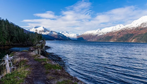 Snow-capped mountains across a deep blue lake with forested shoreline and driftwood in foreground.