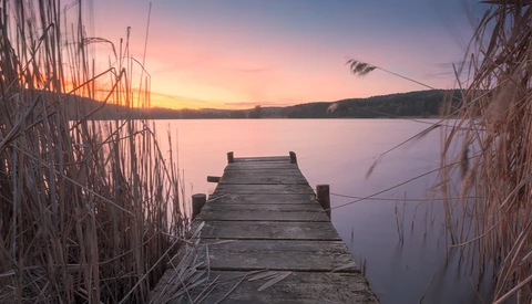 Wooden dock extending into a calm lake at sunrise, framed by dried reeds on both sides.
