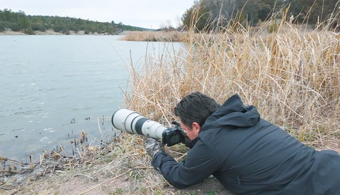 Wildlife photographer crouched among reeds, aiming a telephoto lens toward waterfowl on a lake.