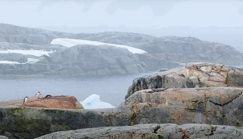 Glacial landscape with icebergs floating in calm water, rocky outcrops in foreground, and snow-covered mountains in background.