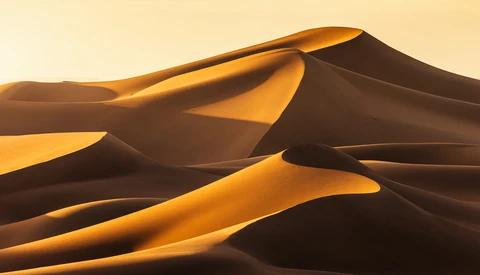 Desert sand dunes with dramatic golden and shadow contrast at sunrise or sunset.