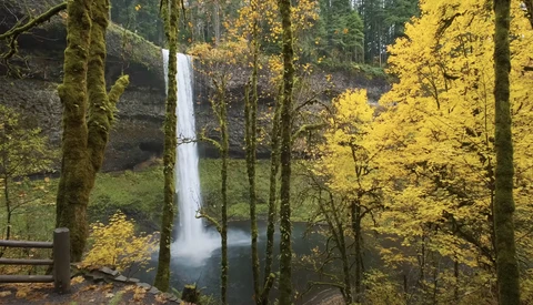 Waterfall cascading into a misty pool surrounded by moss-covered trees and golden autumn foliage.