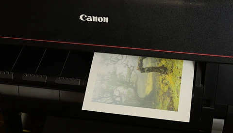 Canon printer with a landscape photograph of misty trees and yellow-green foliage printing on white paper.