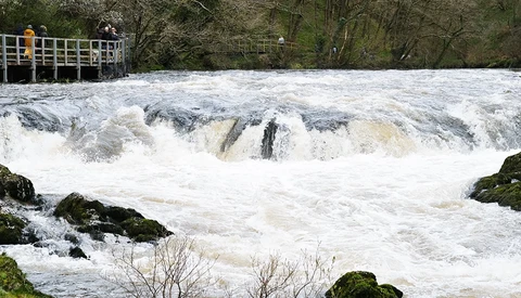 Turbulent whitewater rapids cascade over rocky terrain with moss-covered boulders in the foreground and an observation platform visible upstream left.