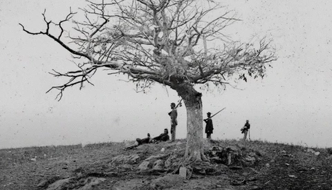 Bare tree on hillside with several figures standing beneath its gnarled branches in black and white.