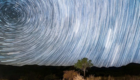 Star trails spiral around the celestial pole above a solitary illuminated tree and dark hills.
