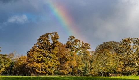 Rainbow arcing over a pastoral landscape with golden autumn trees and green meadow.
