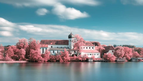 Waterfront castle surrounded by pink-foliaged trees reflected in still water under blue sky.