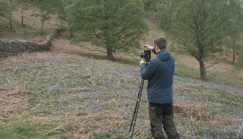 Photographer with tripod capturing wildflowers in a woodland meadow during golden hour.