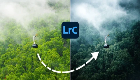 Side-by-side comparison showing aerial forest views with the Lrc logo between them, connected by a curved adjustment arrow.