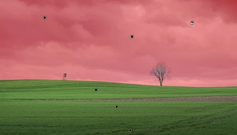 Surreal landscape with vibrant pink sky, green rolling field, solitary bare tree, and distant structures.