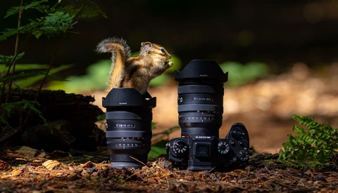 Squirrel perched on camera equipment and lenses arranged on forest ground.