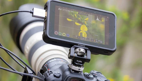 External monitor mounted on camera showing live video feed with yellow flowers in frame.