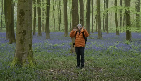 Hiker in orange jacket jogging through forest floor carpeted with purple wildflowers.