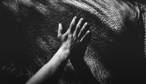A pale hand reaching toward a textured dark surface in close-up black and white photography.