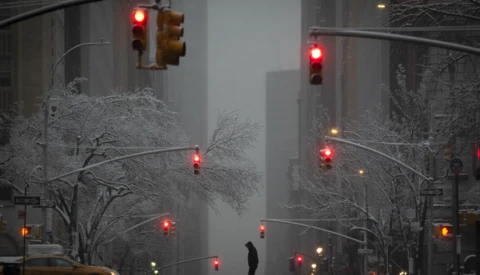 Snow-covered urban street with traffic lights and bare trees in heavy fog.