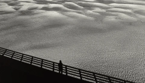Shadow of a wooden fence cast across rippled sand dunes in strong sunlight.