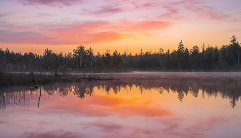 Sunrise over a still lake with coniferous forest and misty shoreline reflected in calm water.