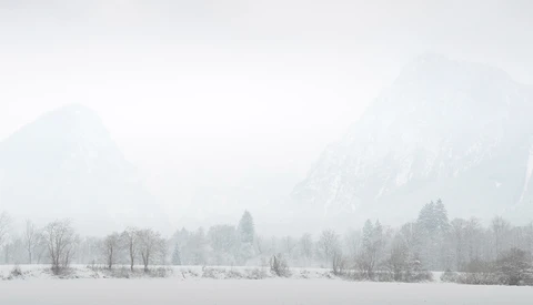 Snow-covered meadow with bare and coniferous trees beneath fog-shrouded mountains.
