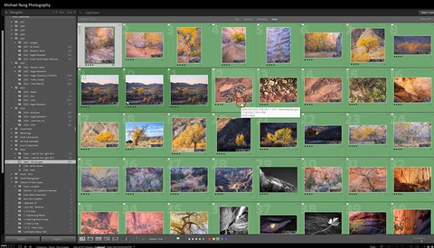 Screenshot of photo management software displaying a grid of landscape and nature photographs with colorful autumn foliage and mountain scenery.