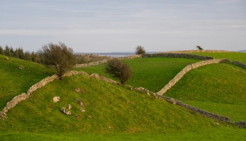 Rolling green hillside with stone walls and scattered trees overlooking a distant water body.