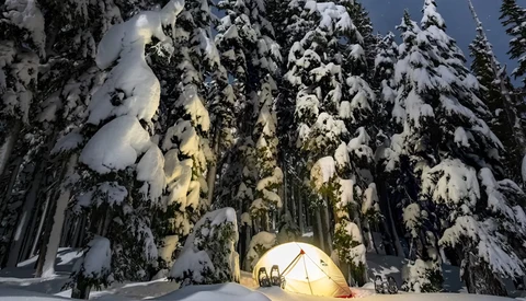 Illuminated tent nestled among snow-laden evergreen trees in a winter forest at dusk.