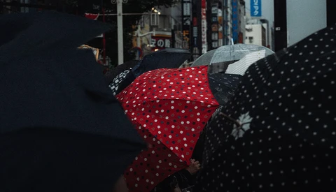 Colorful polka-dotted umbrellas held up during rain in an urban street setting.