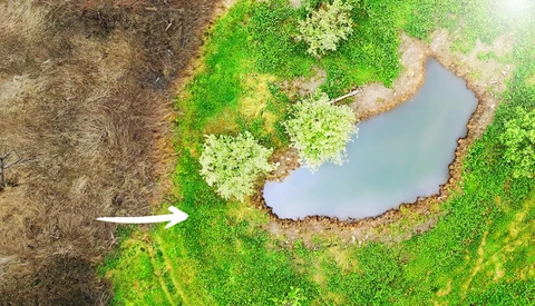 Aerial view of a small pond surrounded by vibrant green moss and vegetation in a natural landscape.