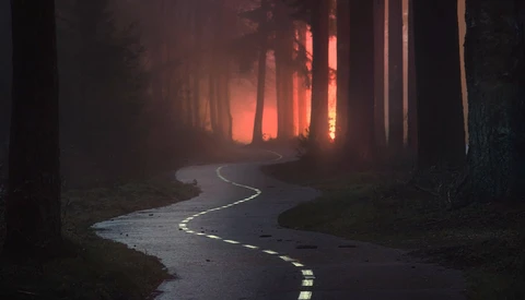 Winding wet road through dark forest at sunset with warm orange glow in distance.
