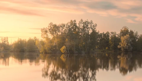 Serene river landscape with birch trees reflected in still water at golden hour.