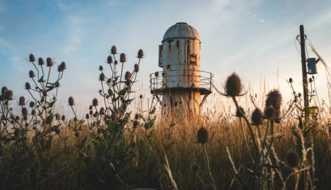 Abandoned water tower surrounded by dried thistles and wild plants in an overgrown field.